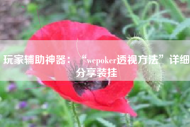 玩家辅助神器：“wepoker透视方法	”详细分享装挂