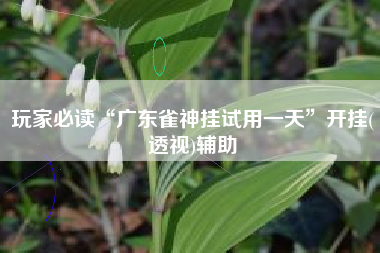 玩家必读“广东雀神挂试用一天”开挂(透视)辅助