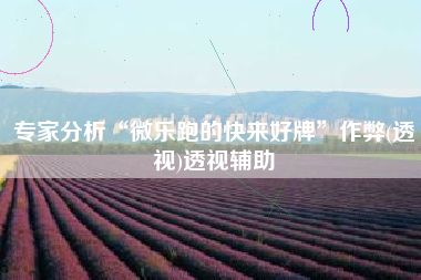 专家分析“微乐跑的快来好牌”作弊(透视)透视辅助