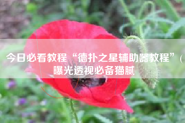 今日必看教程“德扑之星辅助器教程”(曝光透视必备猫腻