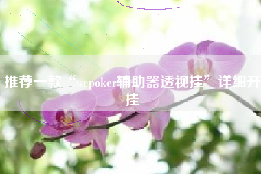 推荐一款“wepoker辅助器透视挂”详细开挂