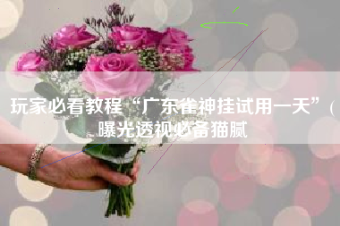 玩家必看教程“广东雀神挂试用一天”(曝光透视必备猫腻