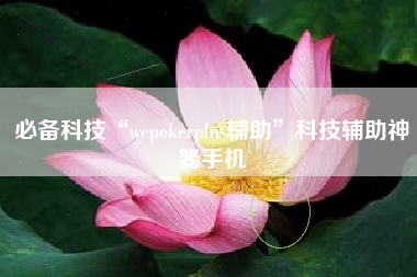 必备科技“wepokerplus辅助”科技辅助神器手机