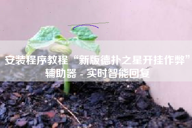 安装程序教程“新版德扑之星开挂作弊”辅助器 - 实时智能回复