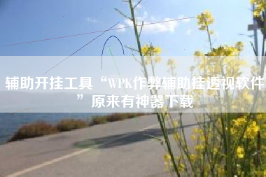 辅助开挂工具“WPK作弊辅助挂透视软件”原来有神器下载