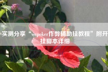 实测分享“wepoker作弊辅助挂教程”附开挂脚本详细