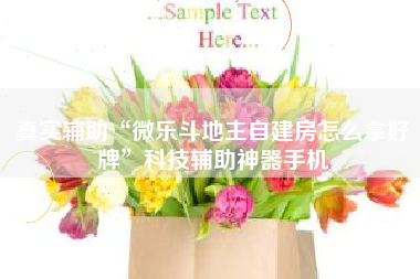 真实辅助“微乐斗地主自建房怎么拿好牌”科技辅助神器手机