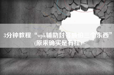 3分钟教程“wpk辅助封号最怕三个东西”(原来确实是有挂)