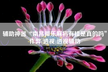 辅助神器“南昌微乐麻将有挂是真的吗”作弊(透视)透视辅助