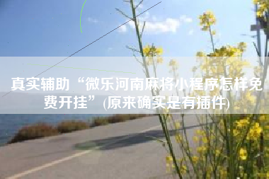 真实辅助“微乐河南麻将小程序怎样免费开挂	”(原来确实是有插件)