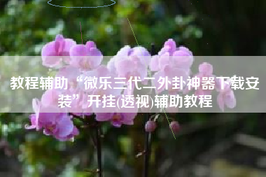 教程辅助“微乐三代二外卦神器下载安装	”开挂(透视)辅助教程