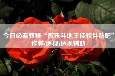 今日必看教程“微乐斗地主挂软件贴吧	”作弊(透视)透视辅助