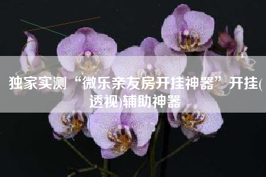 独家实测“微乐亲友房开挂神器”开挂(透视)辅助神器