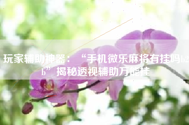 玩家辅助神器：“手机微乐麻将有挂吗b2b”揭秘透视辅助万能挂