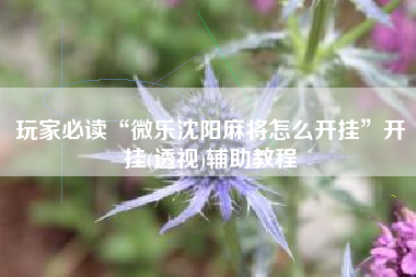 玩家必读“微乐沈阳麻将怎么开挂	”开挂(透视)辅助教程