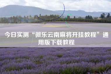 今日实测“微乐云南麻将开挂教程”通用版下载教程