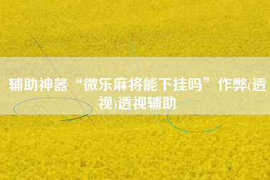 辅助神器“微乐麻将能下挂吗	”作弊(透视)透视辅助