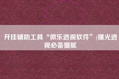 开挂辅助工具“微乐透视软件	”(曝光透视必备猫腻