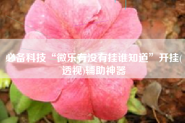 必备科技“微乐有没有挂谁知道	”开挂(透视)辅助神器