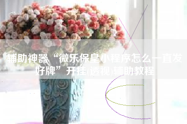 辅助神器“微乐保皇小程序怎么一直发好牌”开挂(透视)辅助教程