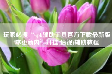 玩家必搜“wpk辅助工具官方下载最新版本更新内”开挂(透视)辅助教程