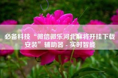 必备科技“微信微乐河北麻将开挂下载安装”辅助器 - 实时智能