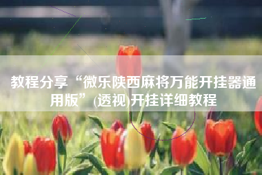 教程分享“微乐陕西麻将万能开挂器通用版”(透视)开挂详细教程