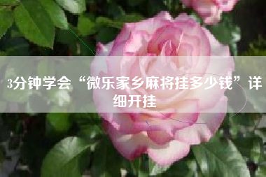 3分钟学会“微乐家乡麻将挂多少钱”详细开挂