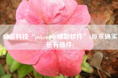 必备科技“pokemmo辅助软件”(原来确实是有插件)