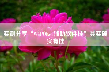实测分享“WePOKer辅助软件挂	”其实确实有挂
