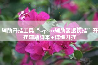 辅助开挂工具“wepoker辅助器透视挂”开挂辅助脚本+详细开挂