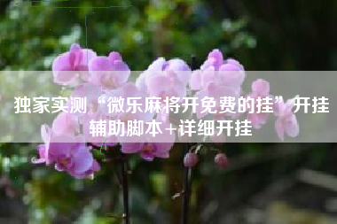 独家实测“微乐麻将开免费的挂”开挂辅助脚本+详细开挂 独家实测“微乐麻将开免费的挂”开挂辅助脚本+详细开挂