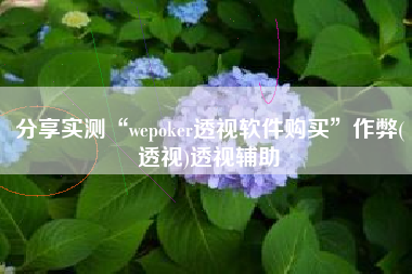 分享实测“wepoker透视软件购买	”作弊(透视)透视辅助