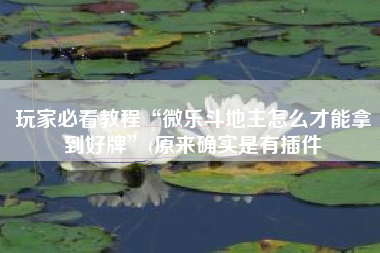 玩家必看教程“微乐斗地主怎么才能拿到好牌”(原来确实是有插件