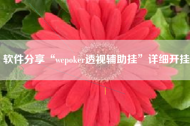 软件分享“wepoker透视辅助挂”详细开挂