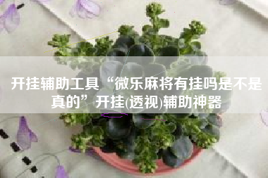 开挂辅助工具“微乐麻将有挂吗是不是真的”开挂(透视)辅助神器