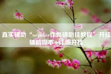 真实辅助“wepoker作弊辅助挂教程”开挂辅助脚本+详细开挂