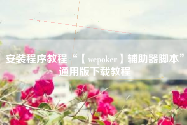 安装程序教程“【wepoker】辅助器脚本”通用版下载教程