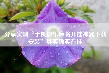 分享实测“手机微乐麻将开挂神器下载安装”其实确实有挂