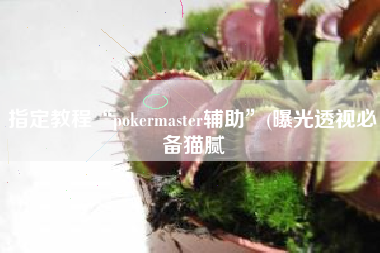 指定教程“pokermaster辅助”(曝光透视必备猫腻