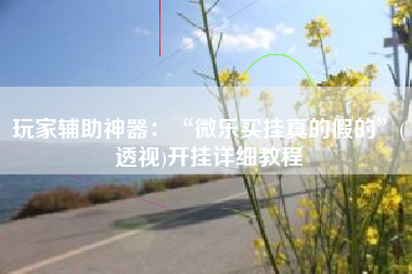 玩家辅助神器：“微乐买挂真的假的”(透视)开挂详细教程