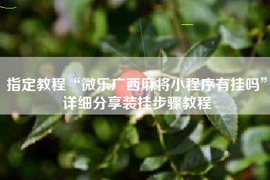 指定教程“微乐广西麻将小程序有挂吗	”详细分享装挂步骤教程