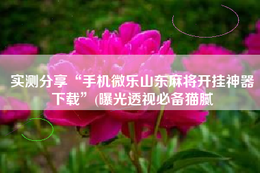 实测分享“手机微乐山东麻将开挂神器下载	”(曝光透视必备猫腻