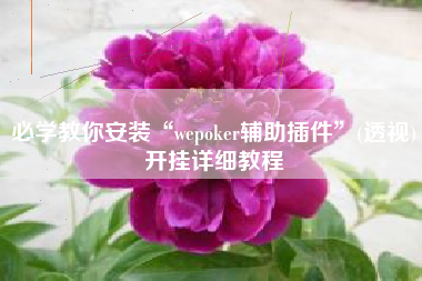 必学教你安装“wepoker辅助插件	”(透视)开挂详细教程
