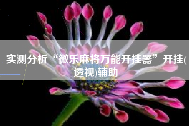 实测分析“微乐麻将万能开挂器”开挂(透视)辅助