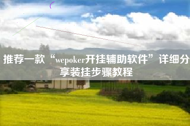推荐一款“wepoker开挂辅助软件”详细分享装挂步骤教程