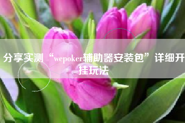 分享实测“wepoker辅助器安装包”详细开挂玩法