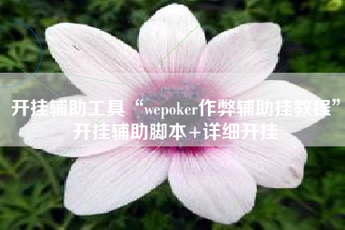 开挂辅助工具“wepoker作弊辅助挂教程	”开挂辅助脚本+详细开挂