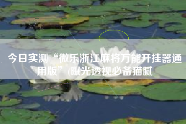 今日实测“微乐浙江麻将万能开挂器通用版”(曝光透视必备猫腻