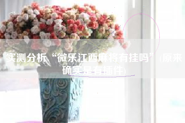 实测分析“微乐江西麻将有挂吗”(原来确实是有插件)